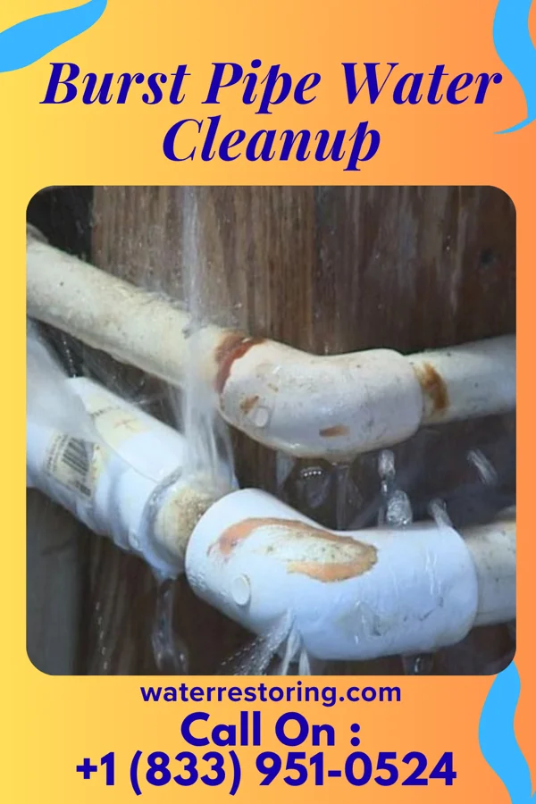 Burst Pipe Water Cleanup in Wayne, OK