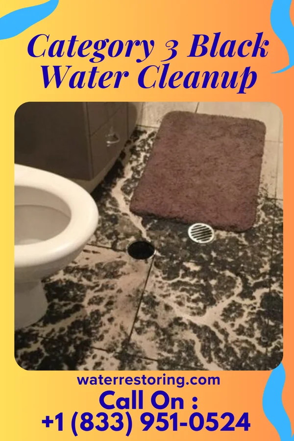 Category 3 Black Water Cleanup in Wayne, OK