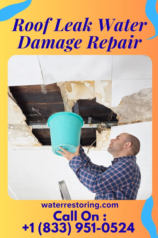 Roof Leak Water Damage Repair in Wayne, OK